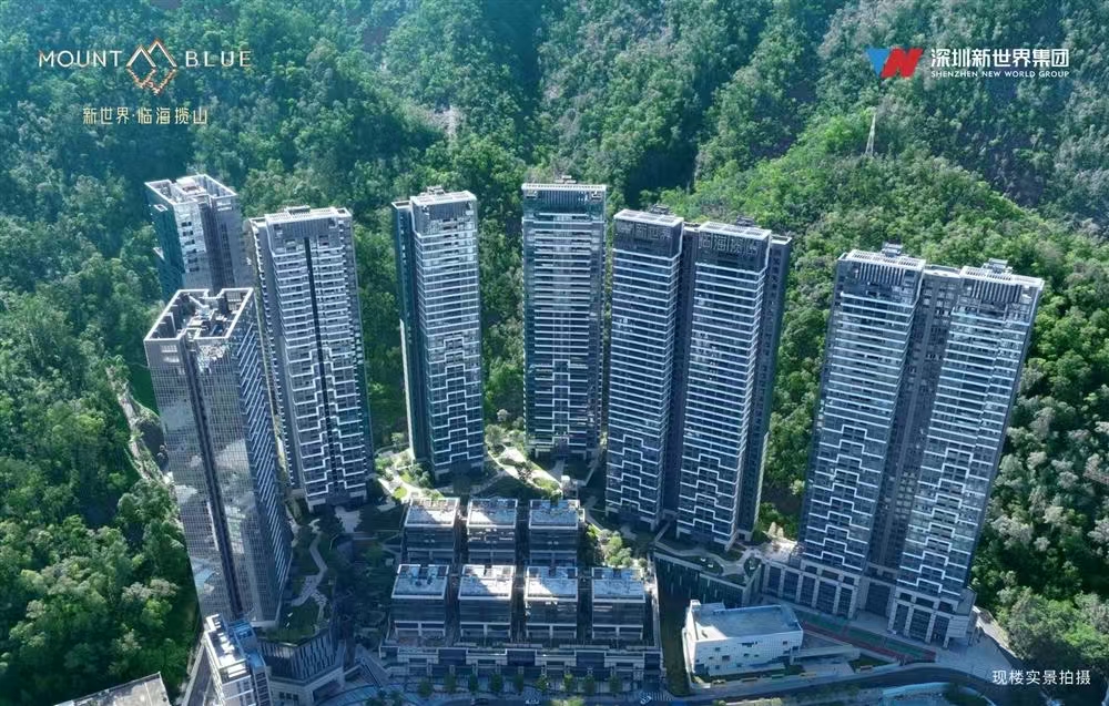 新世界臨海攬山|均價約120000元/平