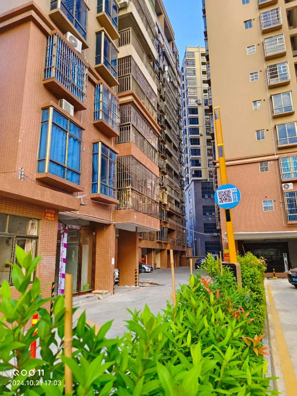 1769675765723019.jpg f52e7275809ac9b906ad1e236f0f71bd.jpg